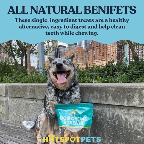 hotspot pets Pig Ears for Dogs (10 Pack), All-Natural Whole Dog Chews Pigs Ears, Single Ingredient & Highly Digestible | Rawhide Alternative for Small & Large Dogs in Saudi Arabia