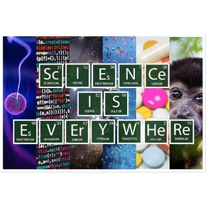 DHDM Science is Everywhere Periodic Table Poster | 12-Inches by 18-Inches | Inspirational Motivational Classroom | JSC809