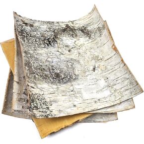 Natural White Birch Bark 4 Sheets 8" x 8" - Russian White Birch Tree Decor Sheets for Scrapbooking, DIY Projects, Arts and Crafts - Unfinished Wood Paper Birch