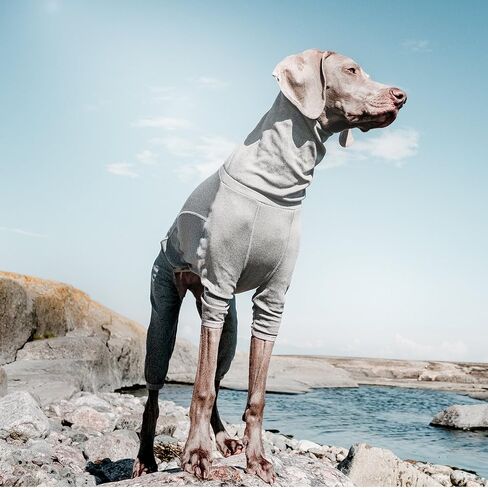 Hurtta Body Warmer Dog Body Suit, Recovery Suit, Carbon Grey, 24M in Saudi Arabia