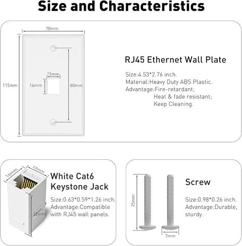 10-Pack Cat6 Ethernet Wall Plate Outlet, Single Gang Keystone Jack Wall Plate with RJ45 Keystone Inline Coupler insert, Female to Female Cat6 Keystone Coupler Wall Plate, Matte, White in Saudi Arabia