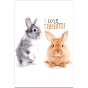 Tree-Free Greetings - All Occasion Cards - Artful Designs - 12 Greeting Cards + White Envelopes - Made in USA - 100% Recycled Paper - 4 x 6 - I Love Rabbits (FS56358)