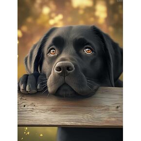 QAZWSX Black Labrador Dog Diamond Painting Kits for Adults, DIY 5D Animal Diamond Art Full Drill for Adult, for Beginner Home Wall Decor Gift 12x16 inch