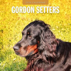 Red Robin 2025 Gordon Setters Monthly Wall Calendar | 12" x 24" Open | Premium Thick & Sturdy Paper | Hangable 12 Month Calendar | Plastic Free | 4 Month Transition Page for 2024