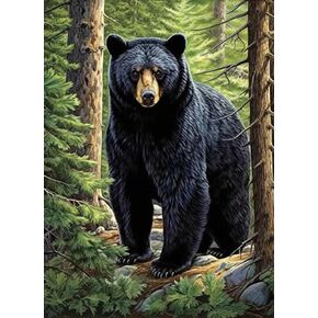 F-CANLAN Round Full Drill Diamond Painting Kit 5D Black Bear Diamond Art Painting by Numbers Bear Diamond Dots Arts Crafts Set for Children Diamond Painting Kit for Adult Room Decor (12X16 inches)