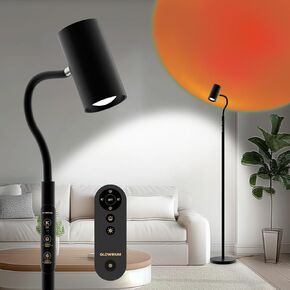 Reading Floor Lamp H2,Dual-Side Floor Lamps for Living Room,Bedroom,5 Color Temperatures and 5 Atmosphere Lighting Modes,Adjustable Gooseneck Reading Floor Lamp for Home and Office