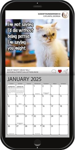 Turner Photographic Cat Chat Photo Die Cut Mini Wall Calendar (25998950061) in Saudi Arabia