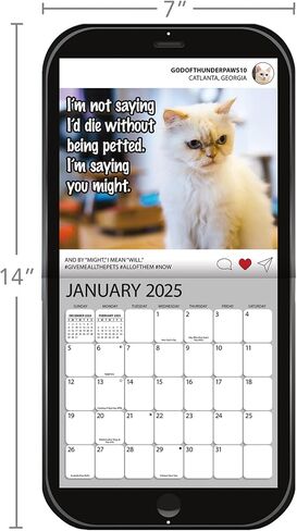 Turner Photographic Cat Chat Photo Die Cut Mini Wall Calendar (25998950061) in Saudi Arabia
