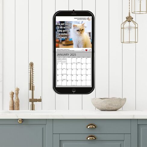 Turner Photographic Cat Chat Photo Die Cut Mini Wall Calendar (25998950061) in Saudi Arabia