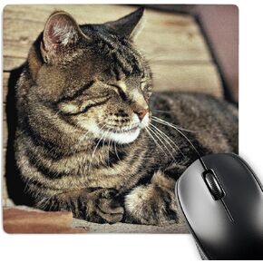 3dRose LLC 8 x 8 x 0.25 Inches Mouse Pad, Utah Capitol Reef Np Sleeping Tabby Cat RIC Ergenbright (mp_94870_1)