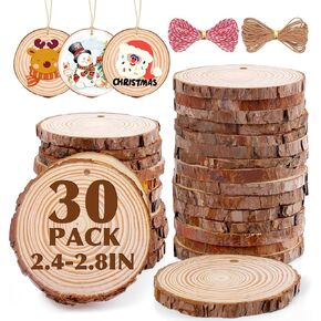 100 Pack Nature Wood Slices for Crafts,2.4-2.8In Unfinished Natural Wood Rounds.Wood Circles Predrilled with Hole and 20m Rope for Wooden Craft Supplies,Painting,Christmas Ornaments,DIY Gifts