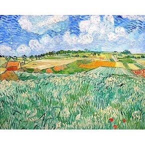 NIHO-JIUMA Van Gogh Diamond Painting Kits Irises, 5D DIY Full Drill Diamond Art Gift for Adults, Home Wall Decor (40x50cm/16x20inches)