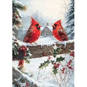 MXJSUA Winter Cardinal Christmas Diamond Painting Kits for Adults - Full Drill Diamond Art Painting for Beginners, 5D Round Picture with Diamonds Gem Art Painting Kits for Home Wall Decor 12x16 inch in Kuwait