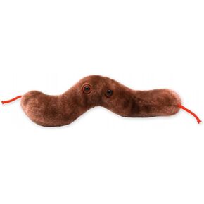 GIANTmicrobes Diarrhea Plush - Learn About Digestive Health, Campylobacter Bacteria and How it Affects The Body, Humorous Gift for Friends, Doctors, Teachers and Anyone with a Healthy Sense of Humor
