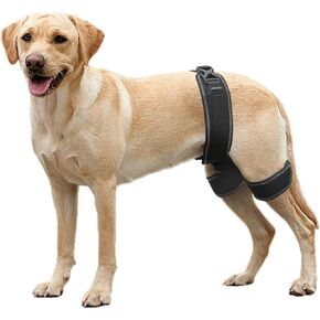 CHAMIN Dog Hip Orthotics Brace, Dog Hip Dysplasia Brace Harness, Support for Hip Dysplasia, Luxating Patella, Relieve Hip Pain, Prevent Hip Joint Diseases and Assisted orthopedics, et(Large)