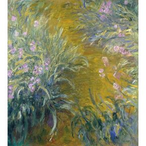 DNBDJSCV Paint by Numbers for Adults Kids Kits Claude Monet Still Life Flower Plant Easy for Beginners DIY Oil Paintings Set on Canvas Art Craft Acrylic Paint Drawing Paintwork Wall Home Decorations