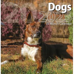 Bachmann Press 2025 Dogs Full Size Wall Calendar for Planning, Scheduling, and Organizing