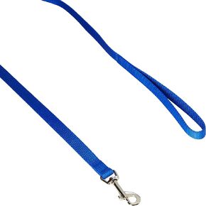 Dog Leash - Nylon - 4 Ft. Blue with a Width of 5/8 in.