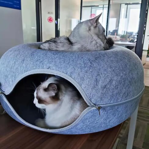 Donut Cat Tunnel Bed Peekaboo Cat Cave for Large Cats Up to 30 Lbs, Kitty Interactive Playing Tent House for Multiple Cats,Detachable,Scratch Resistant (Light Gray, Medium - 20 Inch Diameter) in Saudi Arabia