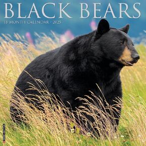 Willow Creek Press Black Bears Monthly 2025 Wall Calendar (12" x 12")