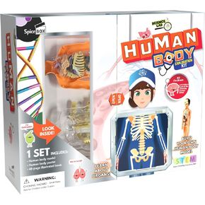 مجموعة الجسم البشري SpiceBox من Science Lab - اكتشف الأعاجيب التي بداخلك
