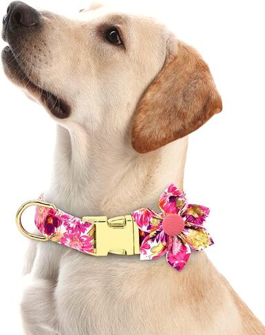 DALUZ Girl Dog Collar with Flower, Adjustable Soft Comfy Floral Dog Collar for Small Medium Large Dogs, Stylish Small Pink Dog Collar with Metal Safety Buckle for Puppy Girl Boy Dogs in Saudi Arabia