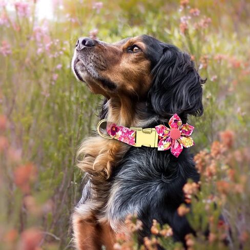 DALUZ Girl Dog Collar with Flower, Adjustable Soft Comfy Floral Dog Collar for Small Medium Large Dogs, Stylish Small Pink Dog Collar with Metal Safety Buckle for Puppy Girl Boy Dogs in Saudi Arabia