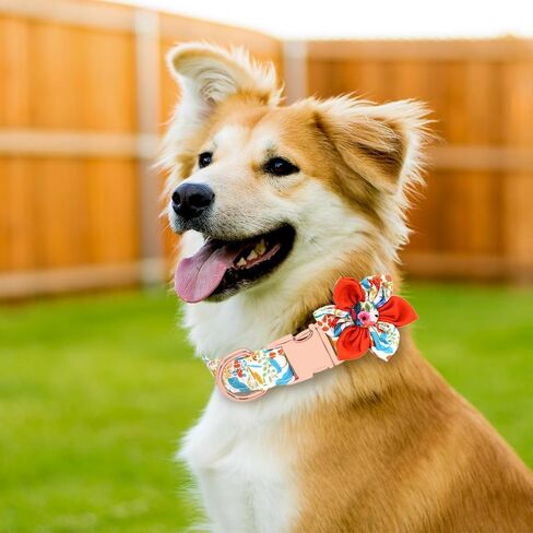 DALUZ Girl Dog Collar with Flower, Adjustable Soft Comfy Floral Dog Collar for Small Medium Large Dogs, Stylish Small Pink Dog Collar with Metal Safety Buckle for Puppy Girl Boy Dogs in Saudi Arabia