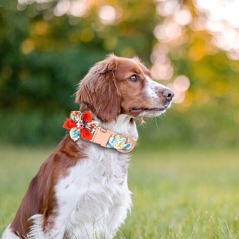 DALUZ Girl Dog Collar with Flower, Adjustable Soft Comfy Floral Dog Collar for Small Medium Large Dogs, Stylish Small Pink Dog Collar with Metal Safety Buckle for Puppy Girl Boy Dogs in Saudi Arabia