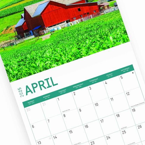2025 Farms Monthly Wall Calendar by Bright Day, 12 x 12 Inch Beautiful Landscape Photography Gift in Saudi Arabia