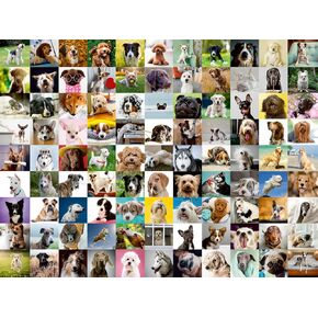 Ravensburger 99 Lovable Dogs | 750 Piece Large Format Jigsaw Puzzle for All Ages | Unique Pieces with Softclick Technology | Vibrant, Glare-Free, and Durable