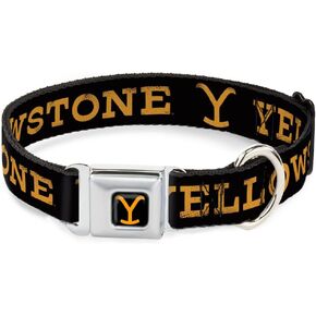 Paramount Network Pet Collar, Dog Collar Metal Seatbelt Buckle, Yellowstone Text and Y Logo Weathered Black Orange, 20 to 31 Inches 1.5 Inch Wide