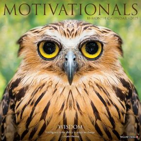 Motivationals 2025 12" x 12" Wall Calendar