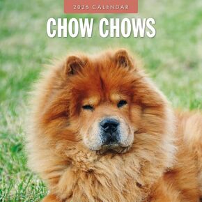 Red Robin 2025 Chow Chows Monthly Wall Calendar | 12" x 24" Open | Premium Thick & Sturdy Paper | Hangable 12 Month Calendar | Plastic Free | 4 Month Transition Page for 2024