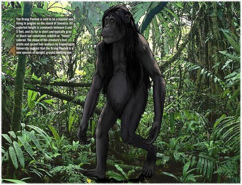 2025 Bigfoot Calendar - 13 Month Wall Calendar 11" X 19" Opened - Fun Gift for Fans of Sasquatch, Cryptids, and the Unknown (Dangerous Encounters) in Saudi Arabia