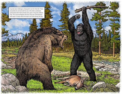تقويم Bigfoot لعام 2025 - تقويم حائط لمدة 13 شهرًا مقاس 11 بوصة × 19 بوصة مفتوح - هدية ممتعة لمحبي الساسكواتش والكريبتيدات والمجهول (لقاءات خطيرة) in Kuwait
