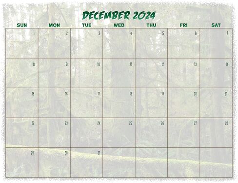 تقويم Bigfoot لعام 2025 - تقويم حائط لمدة 13 شهرًا مقاس 11 بوصة × 19 بوصة مفتوح - هدية ممتعة لمحبي الساسكواتش والكريبتيدات والمجهول (لقاءات خطيرة) in Kuwait