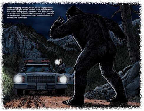 تقويم Bigfoot لعام 2025 - تقويم حائط لمدة 13 شهرًا مقاس 11 بوصة × 19 بوصة مفتوح - هدية ممتعة لمحبي الساسكواتش والكريبتيدات والمجهول (لقاءات خطيرة) in Kuwait