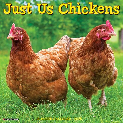 تقويم جداري من Willow Creek Press Just Us Chickens شهريًا لعام 2025 (12 بوصة × 12 بوصة) in Saudi Arabia