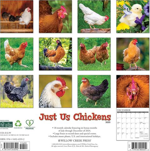 تقويم جداري من Willow Creek Press Just Us Chickens شهريًا لعام 2025 (12 بوصة × 12 بوصة) in Saudi Arabia
