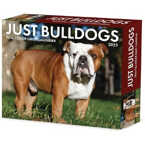 Willow Creek Press Bulldogs Daily 2025 Box/Desk Calendar (5.86" x 4.72")
