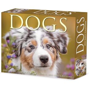 Willow Creek Press Dogs Daily 2025 Box/Desk Calendar (5.86" x 4.72")