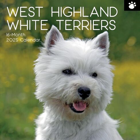 The Gifted Stationary 2025 Square Wall Calendar, West Highland White Terriers, 16-Month Animals Theme Hanging Calendar with 180 Reminder Stickers, Month Planner for Home or Creative Spaces, 12x12 In in Saudi Arabia