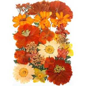 30Pcs Dried Pressed Flowers for Resin DIY Art Crafts Natural Dry Floral Daisy Epoxy Jewelry Real Flower Painting Decor Cakes Bookmarks Phone Cases Candles Handmade Black&White
