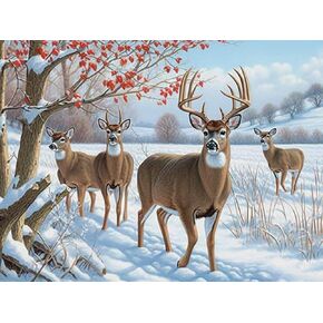 Kaliosy 5D Diamond Art Kits for Adults Deer by Number Kits, Diamond Painting Art Snow Scenery DIY Full Drill Crystal Craft Cross Stitch Embroidery Decoration (12x16 inch) 30x40 cm in Kuwait