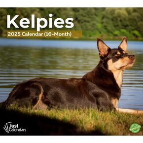 2025 Kelpies Deluxe Wall Dog Breed Calendar | Cute Puppies | 12"" x 13.3"" | Plastic Free | 16-Month | Plastic Free | Home & Office Organizer | Monthly View | Major Holidays