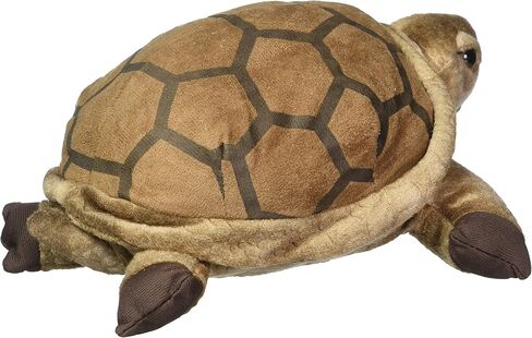 سلحفاة ويشبيتس 10 بوصة in Kuwait