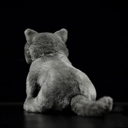 Tiny Heart Simulation British Short cat Plush Toys, 11.02inch Cute British Short cat Stuffed Animal Plush Toys for Kids Boys and Girls Kawaii Birthday Gifts, Room Decoration in Saudi Arabia