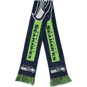 FOCO NFL Big Logo Scarf