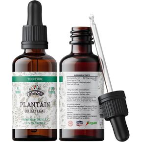 FLORIDA HERBS Plantain Tincture, Organic Plantain Extract (Plantago Major) Dried Leaf Health Supplement, Non-GMO in Cold-Pressed Organic Vegetable Glycerin 2 oz, 670 mg